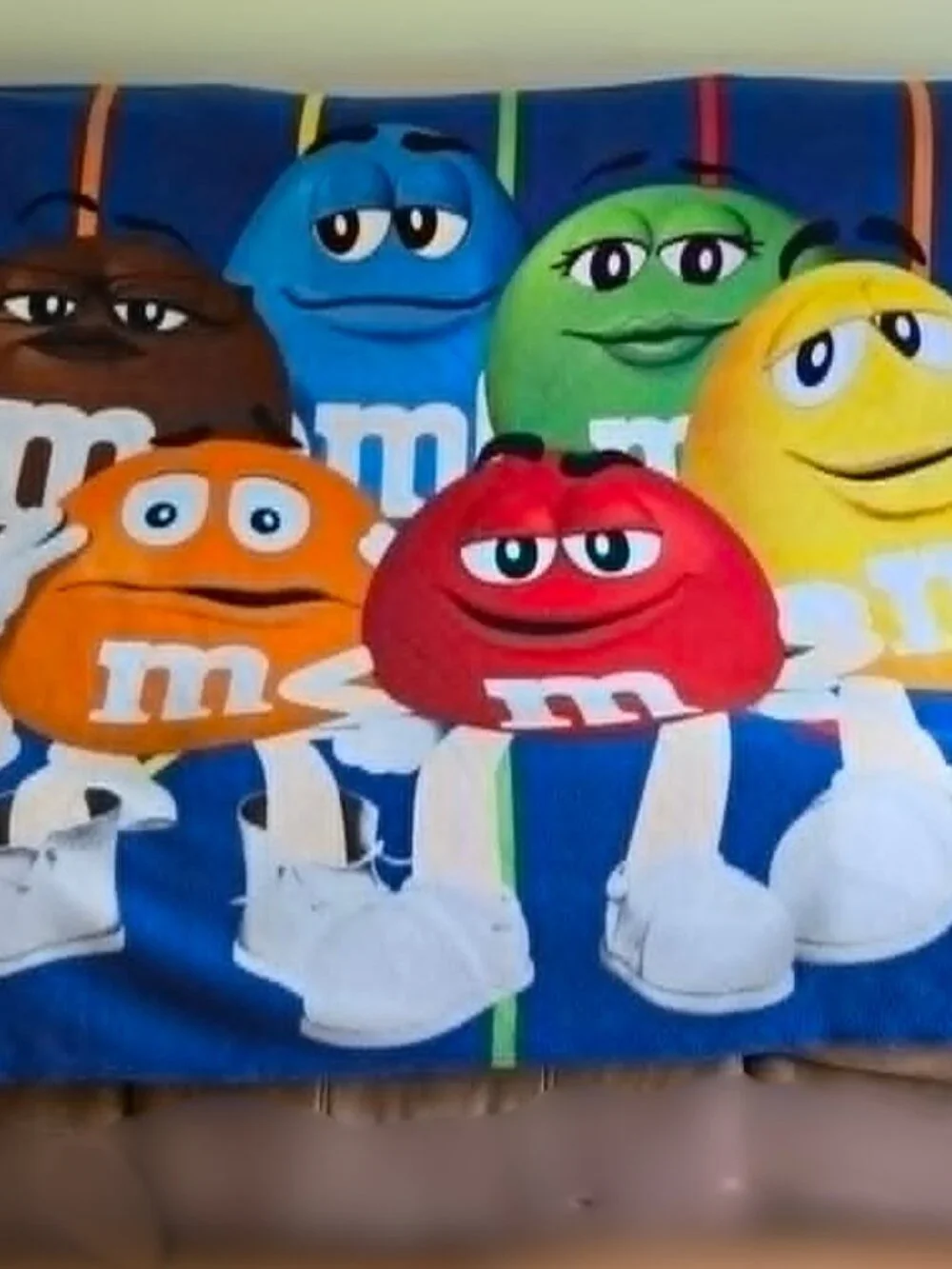 M&Ms World Fleece Throw Blanket 50